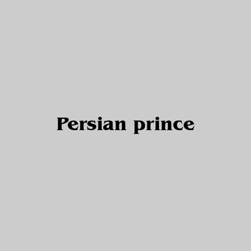 Persian prince | پرشین پرینس